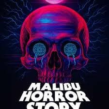马里布录像带海报