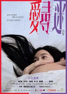 爱寻迷国语海报