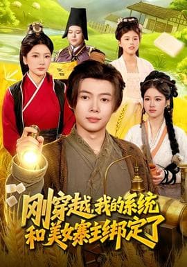 刚穿越,我的系统和美女寨主绑定了海报