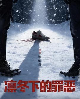 凛冬下的罪恶海报
