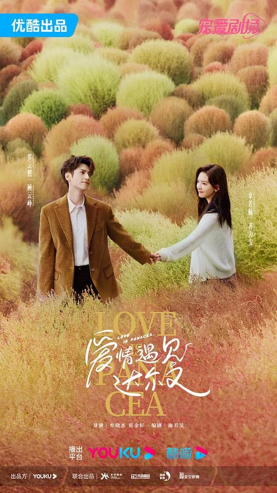 治愈系恋人海报